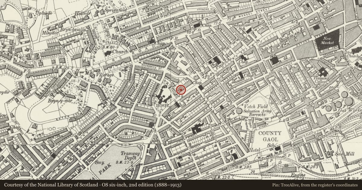 Ordnance Survey six-inch map, 2nd edition (1888–1913) covering the location of Mercer Offices, including Brunswick Health Centre & Douglas-Jones, Castle, Swansea, with a pin at the register's coordinates