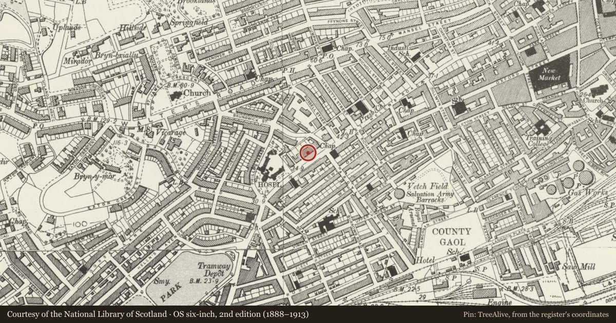 Ordnance Survey six-inch map, 2nd edition (1888–1913) covering the location of Mercer Offices, including Brunswick Health Centre & Douglas-Jones, Castle, Swansea, with a pin at the register's coordinates