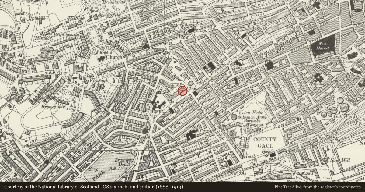 Ordnance Survey six-inch map, 2nd edition (1888–1913) covering the location of Mercer Offices, including Brunswick Health Centre & Douglas-Jones, Castle, Swansea, with a pin at the register's coordinates