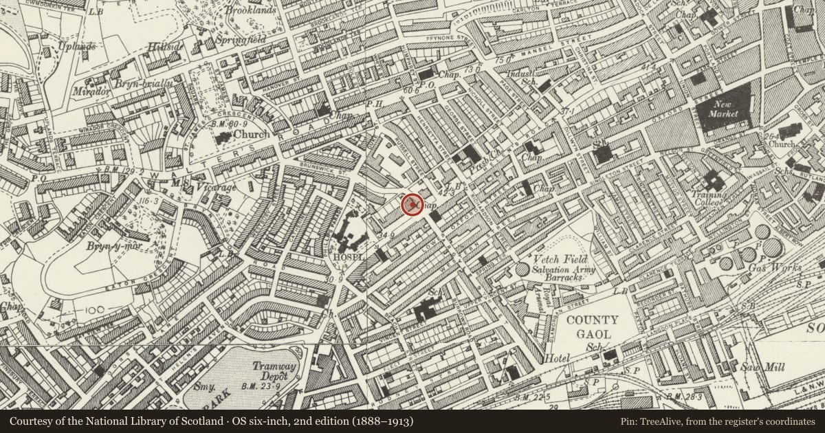Ordnance Survey six-inch map, 2nd edition (1888–1913) covering the location of Mercer Offices, including Brunswick Health Centre & Douglas-Jones, Castle, Swansea, with a pin at the register's coordinates