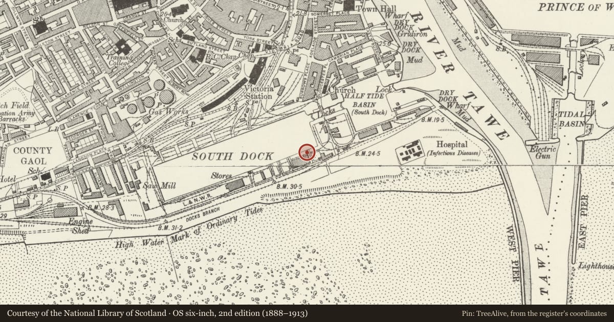 Ordnance Survey six-inch map, 2nd edition (1888–1913) covering the location of Plinth & Statue of JH Vivian, Waterfront/Y Glannau, Swansea, with a pin at the register's coordinates