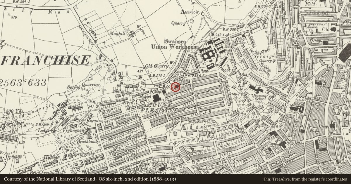 Ordnance Survey six-inch map, 2nd edition (1888–1913) covering the location of Church of St Jude & Church Hall, Castle, Swansea, with a pin at the register's coordinates