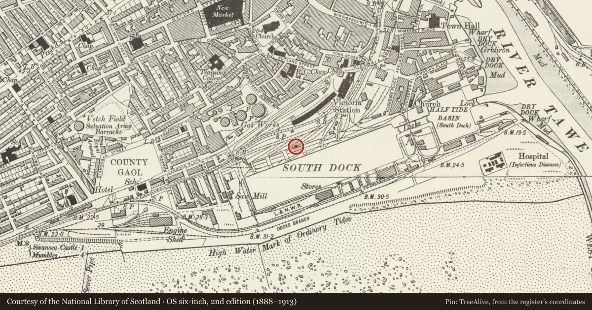Ordnance Survey six-inch map, 2nd edition (1888–1913) covering the location of Former GWR Revetment Walls along N side of South Dock, Waterfront/Y Glannau, Swansea, with a pin at the register's coordinates