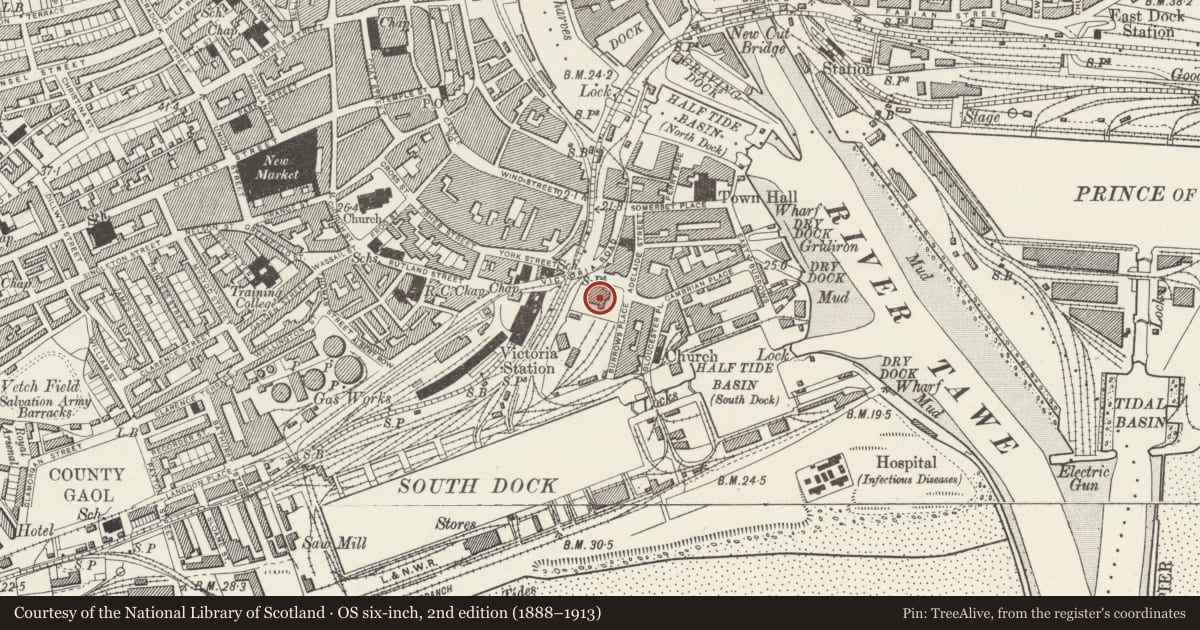 Ordnance Survey six-inch map, 2nd edition (1888–1913) covering the location of Royal Institution of South Wales (Swansea Museum), Waterfront/Y Glannau, Swansea, with a pin at the register's coordinates