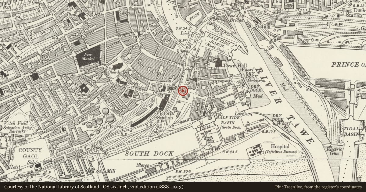 Ordnance Survey six-inch map, 2nd edition (1888–1913) covering the location of Royal Institution of South Wales (Swansea Museum) Boundary Walls & Railings, Waterfront/Y Glannau, Swansea, with a pin at the register's coordinates