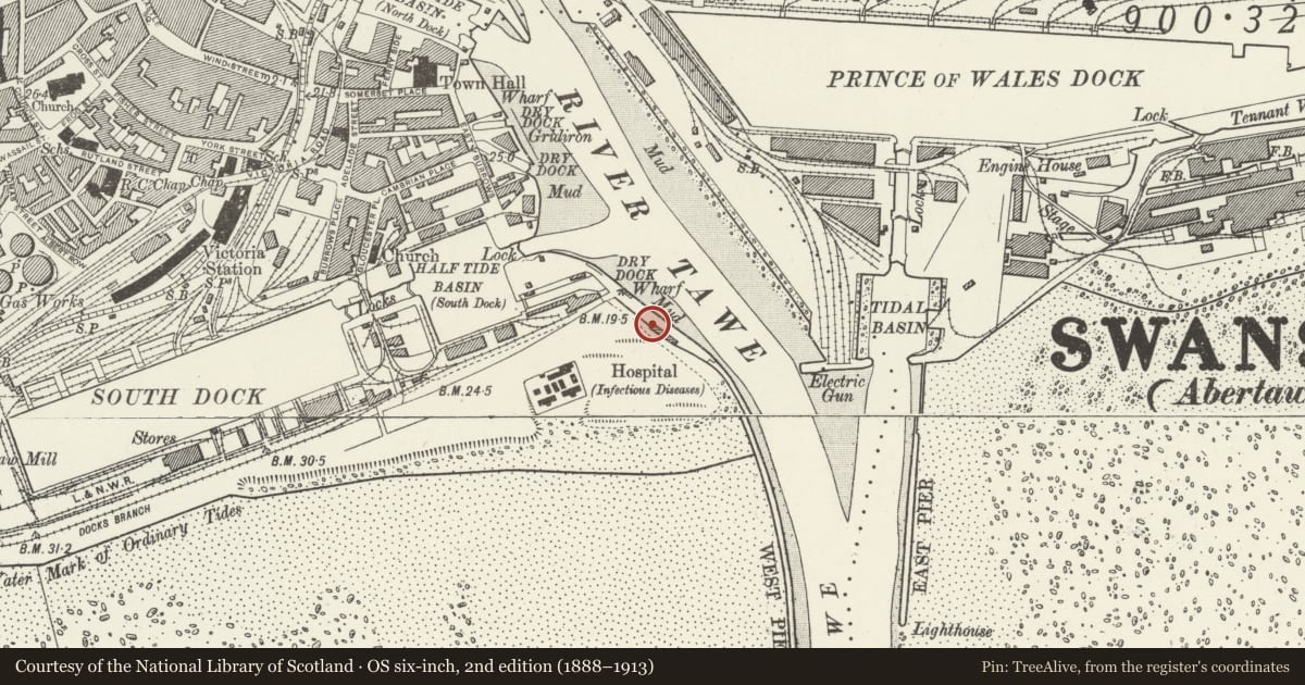 Ordnance Survey six-inch map, 2nd edition (1888–1913) covering the location of Former Pilot House, Waterfront/Y Glannau, Swansea, with a pin at the register's coordinates