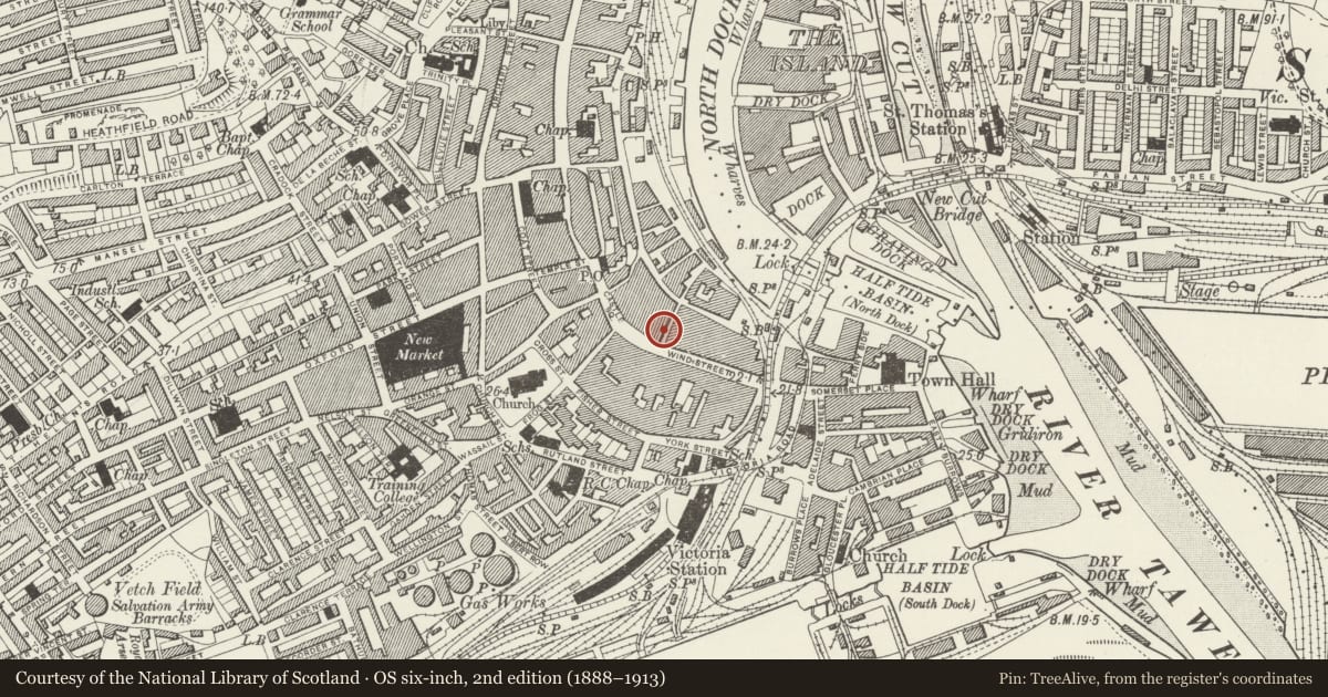 Ordnance Survey six-inch map, 2nd edition (1888–1913) covering the location of National Bank Ltd, Castle, Swansea, with a pin at the register's coordinates