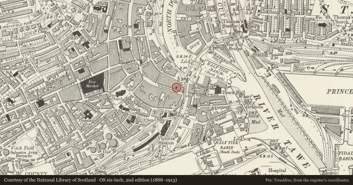 Ordnance Survey six-inch map, 2nd edition (1888–1913) covering the location of Lloyds Bank, Castle, Swansea, with a pin at the register's coordinates