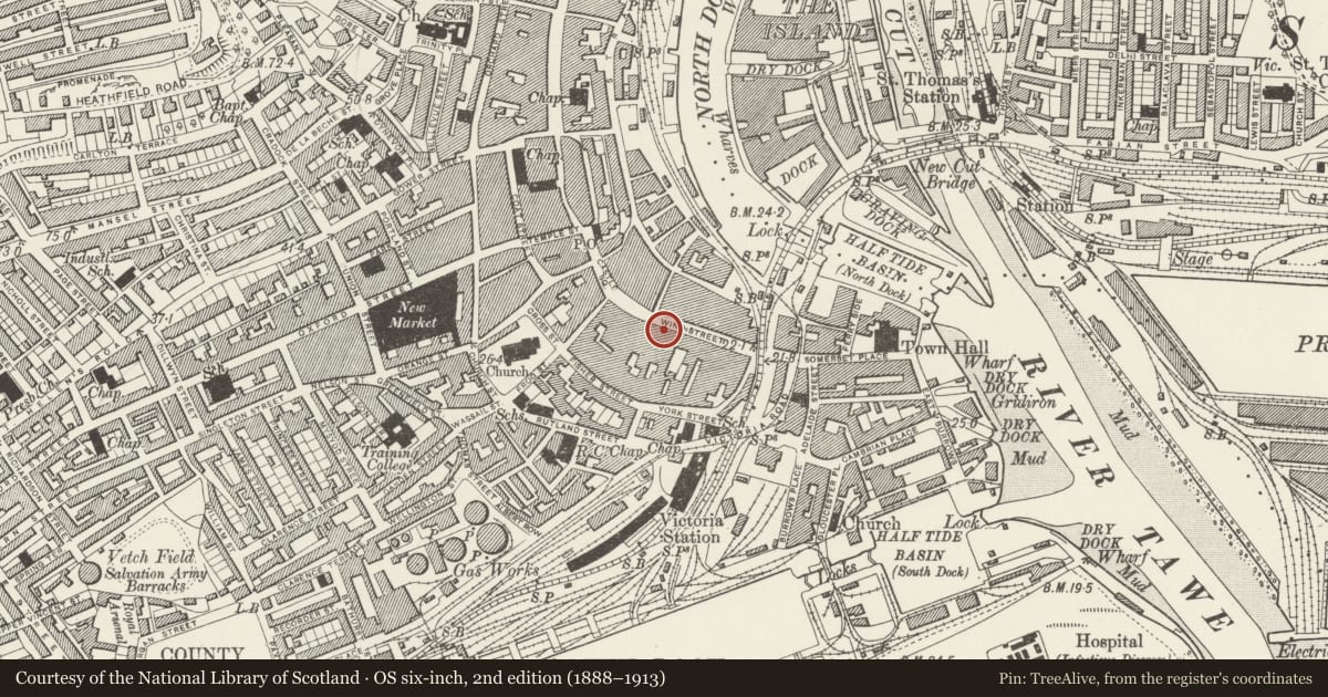 Ordnance Survey six-inch map, 2nd edition (1888–1913) covering the location of Including Entry to Salubrious Passage, Castle, Swansea, with a pin at the register's coordinates