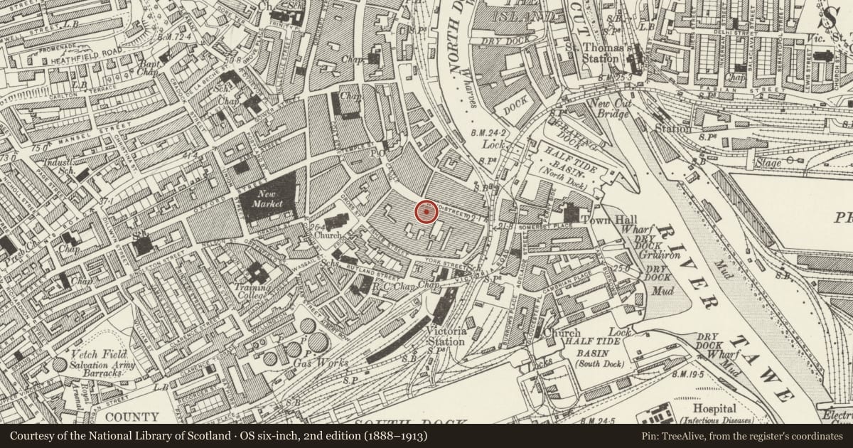 Ordnance Survey six-inch map, 2nd edition (1888–1913) covering the location of Including entry to Salubrious Passage, Castle, Swansea, with a pin at the register's coordinates