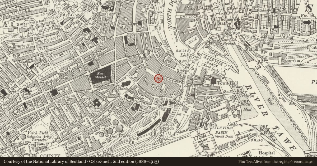 Ordnance Survey six-inch map, 2nd edition (1888–1913) covering the location of Including Entry to Salubrious Passage, Castle, Swansea, with a pin at the register's coordinates