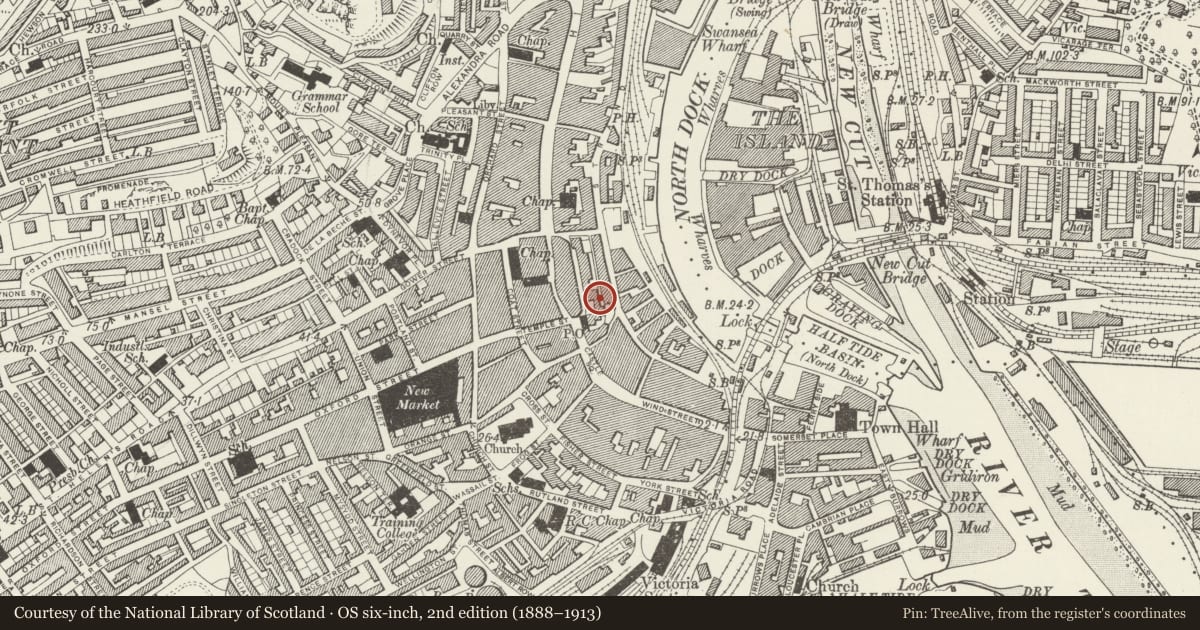 Ordnance Survey six-inch map, 2nd edition (1888–1913) covering the location of Castle Cinema, Swansea, with a pin at the register's coordinates