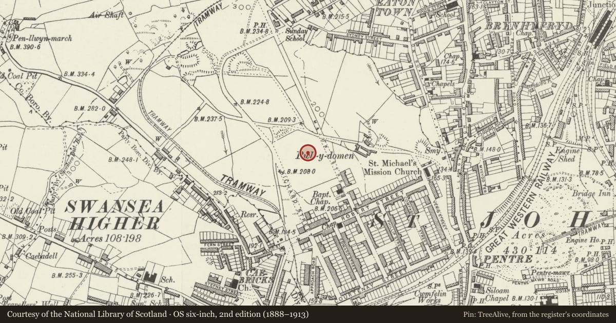 Ordnance Survey six-inch map, 2nd edition (1888–1913) covering the location of Mount Calvary English Baptist Chapel, Cwmbwrla, Swansea, with a pin at the register's coordinates