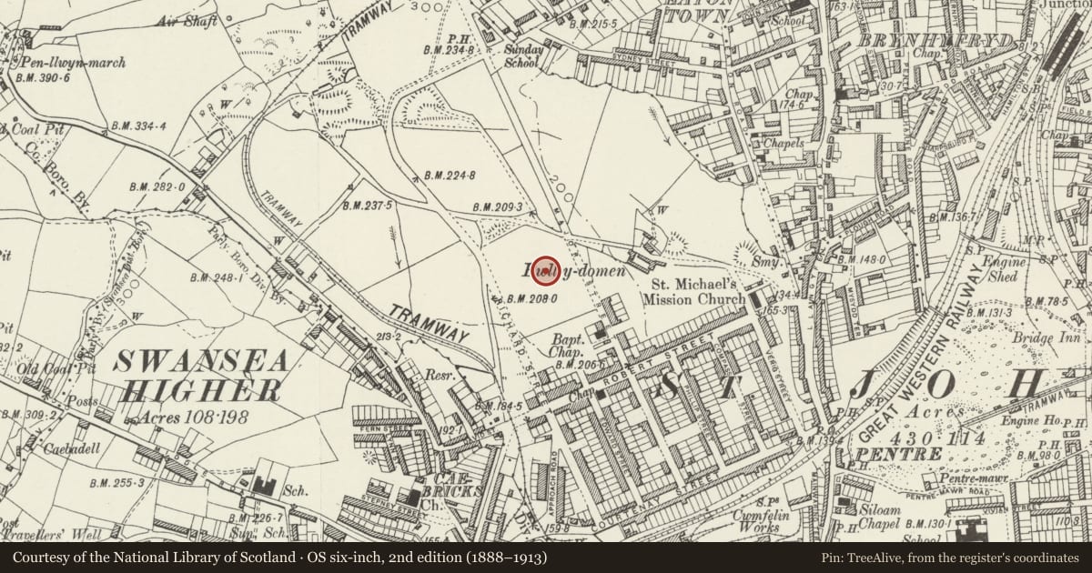 Ordnance Survey six-inch map, 2nd edition (1888–1913) covering the location of Mount Calvary English Baptist Chapel Hall, Cwmbwrla, Swansea, with a pin at the register's coordinates