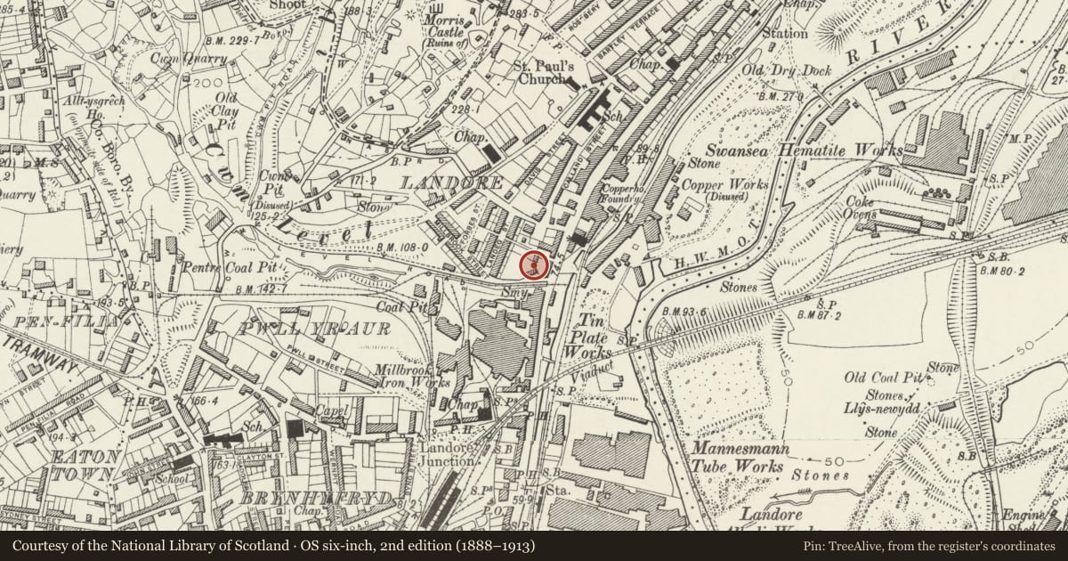 Ordnance Survey six-inch map, 2nd edition (1888–1913) covering the location of Parish Church of St Paul, Landore, Swansea, with a pin at the register's coordinates