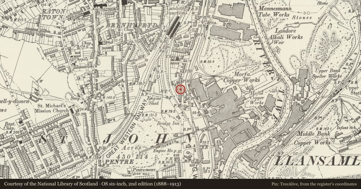 Ordnance Survey six-inch map, 2nd edition (1888–1913) covering the location of Caseys Roofing Centre (Formerly Landore Cinema), Swansea, with a pin at the register's coordinates