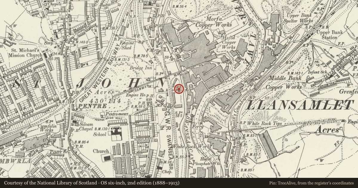 Ordnance Survey six-inch map, 2nd edition (1888–1913) covering the location of Hafod Limekiln, Landore, Swansea, with a pin at the register's coordinates