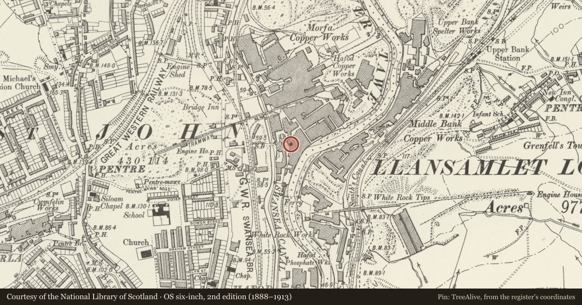 Ordnance Survey six-inch map, 2nd edition (1888–1913) covering the location of Vivian engine house, Landore, Swansea, with a pin at the register's coordinates