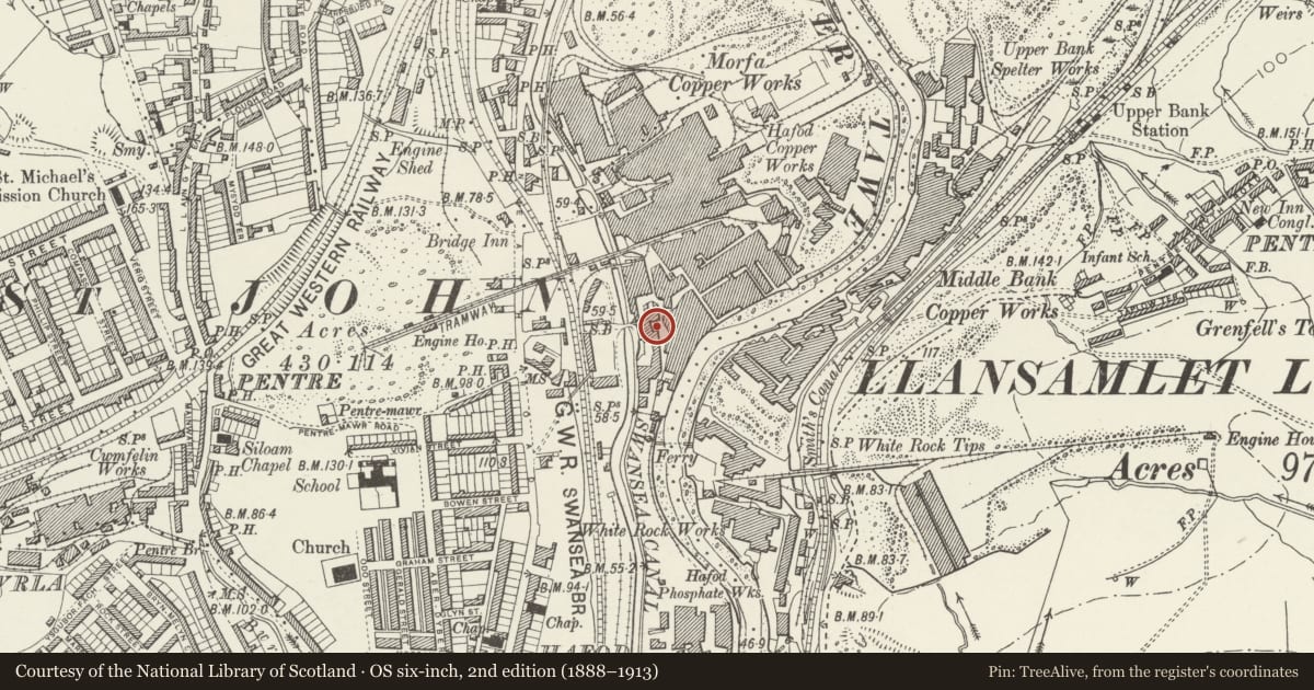 Ordnance Survey six-inch map, 2nd edition (1888–1913) covering the location of Chimney west of Vivian engine house, Landore, Swansea, with a pin at the register's coordinates