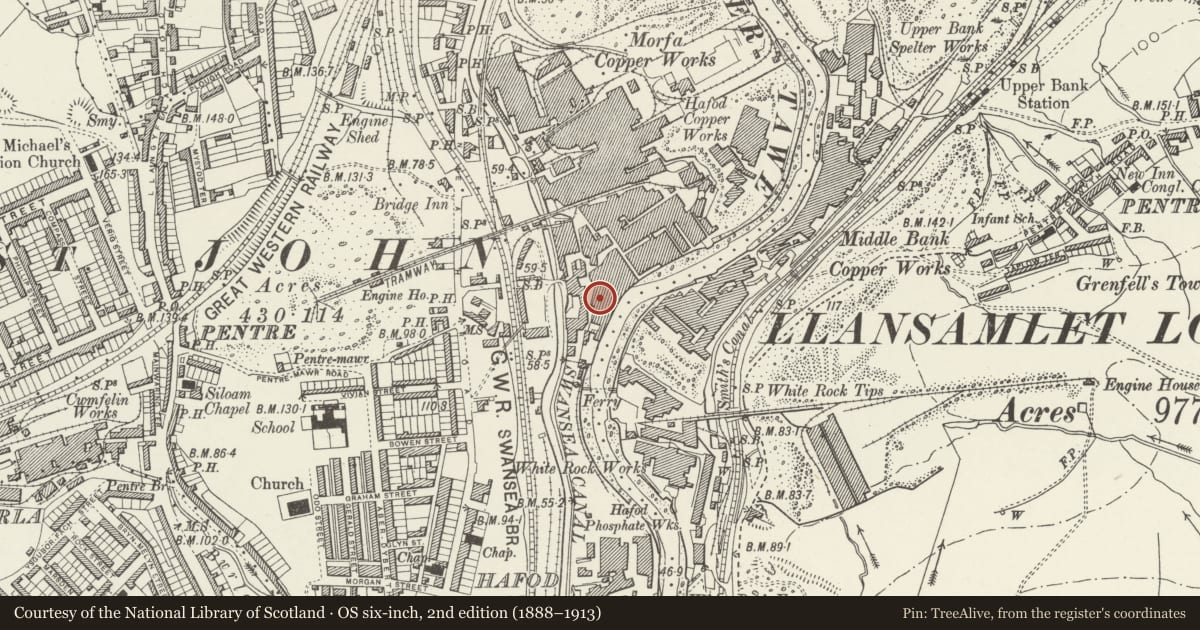 Ordnance Survey six-inch map, 2nd edition (1888–1913) covering the location of Musgrave engine house and chimney, Landore, Swansea, with a pin at the register's coordinates