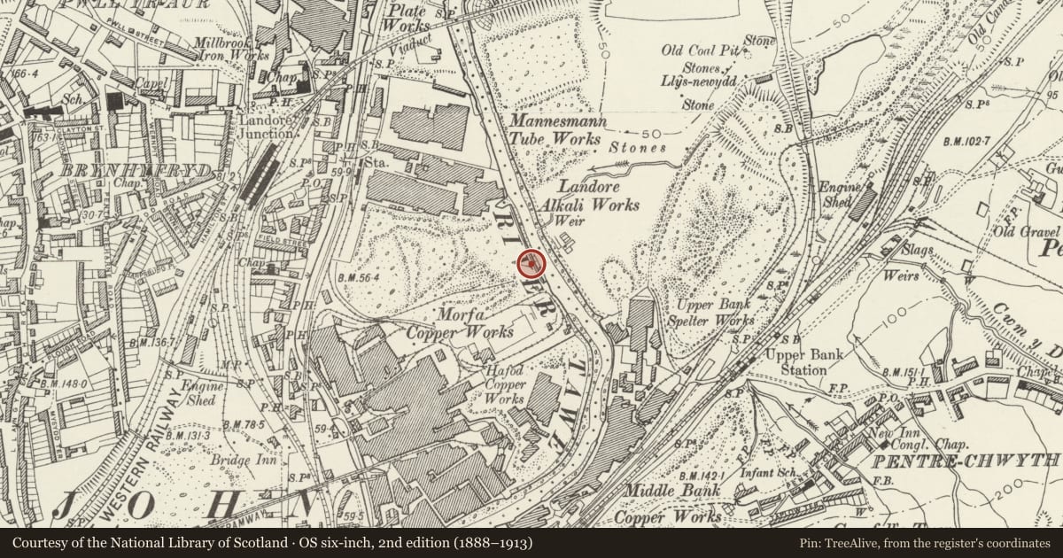 Ordnance Survey six-inch map, 2nd edition (1888–1913) covering the location of Morfa Bridge, Landore, Swansea, with a pin at the register's coordinates