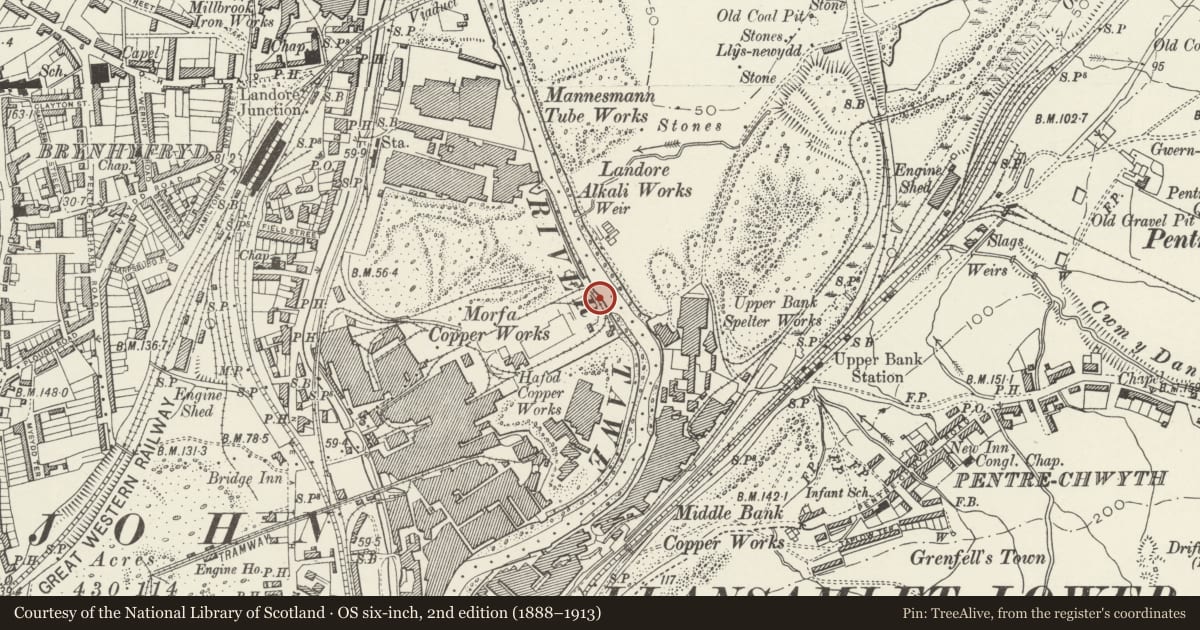 Ordnance Survey six-inch map, 2nd edition (1888–1913) covering the location of Morfa Quay, Landore, Swansea, with a pin at the register's coordinates