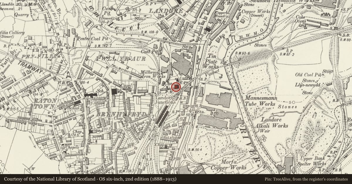 Ordnance Survey six-inch map, 2nd edition (1888–1913) covering the location of Old Siloh Chapel (English), Landore, Swansea, with a pin at the register's coordinates