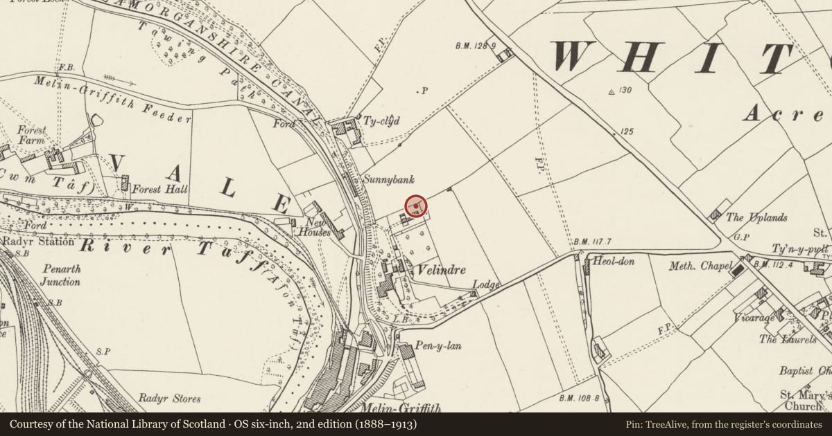 Ordnance Survey six-inch map, 2nd edition (1888–1913) covering the location of Octagonal Shelter in Grounds to west of Whitchurch Hospital, Cardiff, with a pin at the register's coordinates