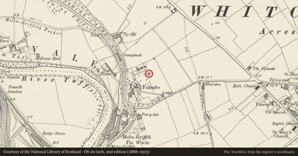 Ordnance Survey six-inch map, 2nd edition (1888–1913) covering the location of Octagonal Shelter in Grounds to south-west of Whitchurch Hospital, Cardiff, with a pin at the register's coordinates