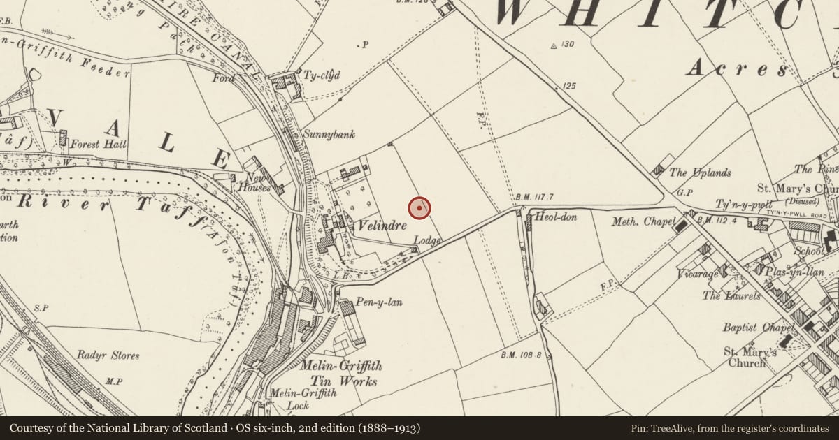 Ordnance Survey six-inch map, 2nd edition (1888–1913) covering the location of Octagonal Shelter in Grounds to south-south-west of Whitchurch Hospital, Cardiff, with a pin at the register's coordinates