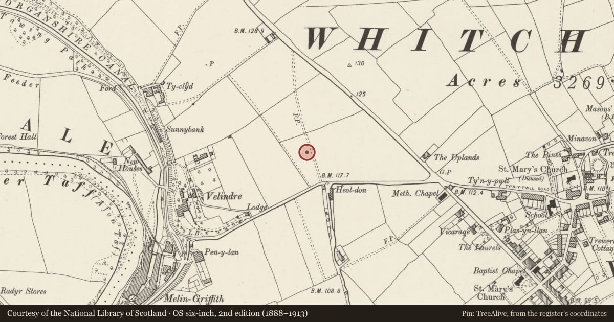 Ordnance Survey six-inch map, 2nd edition (1888–1913) covering the location of Octagonal Shelter in Grounds to south-south-east of Whitchurch Hospital, Cardiff, with a pin at the register's coordinates