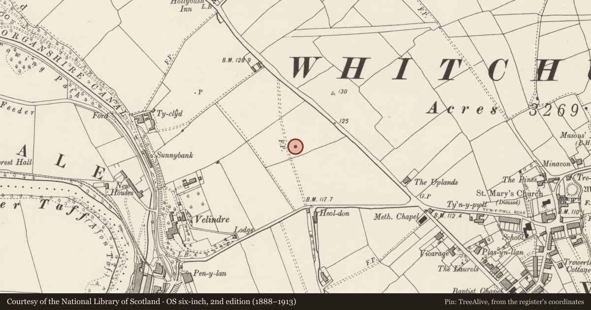 Ordnance Survey six-inch map, 2nd edition (1888–1913) covering the location of Octagonal Shelter in Grounds to south-east of Whitchurch Hospital, Cardiff, with a pin at the register's coordinates