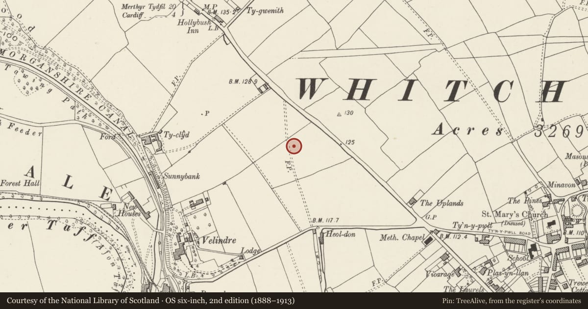 Ordnance Survey six-inch map, 2nd edition (1888–1913) covering the location of Octagonal Shelter in Grounds to east of Whitchurch Hospital, Cardiff, with a pin at the register's coordinates