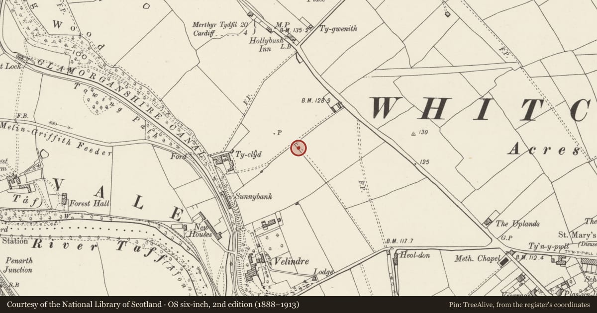 Ordnance Survey six-inch map, 2nd edition (1888–1913) covering the location of Chapel at Whitchurch Hospital, Cardiff, with a pin at the register's coordinates