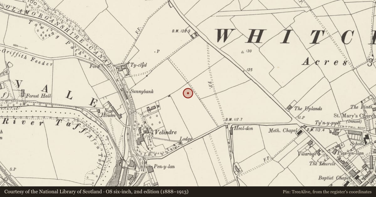 Ordnance Survey six-inch map, 2nd edition (1888–1913) covering the location of Whitchurch Hospital, Cardiff, with a pin at the register's coordinates