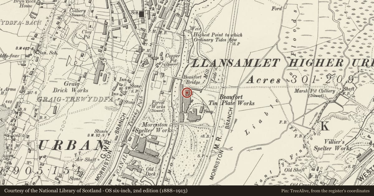Ordnance Survey six-inch map, 2nd edition (1888–1913) covering the location of Former annealing building of former Beaufort tinplate works, Llansamlet, Swansea, with a pin at the register's coordinates