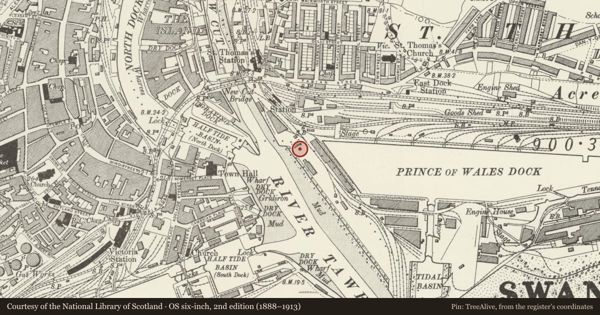 Ordnance Survey six-inch map, 2nd edition (1888–1913) covering the location of The Flag Ship Building, Waterfront/Y Glannau, Swansea, with a pin at the register's coordinates