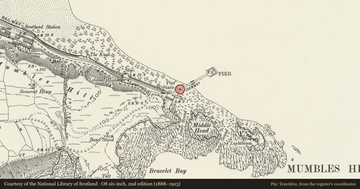 Ordnance Survey six-inch map, 2nd edition (1888–1913) covering the location of Mumbles Pier, Swansea, with a pin at the register's coordinates