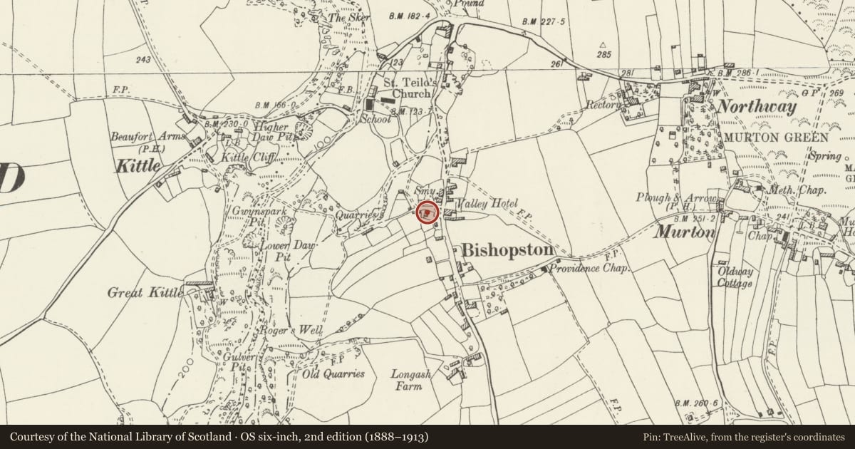 Ordnance Survey six-inch map, 2nd edition (1888–1913) covering the location of 60 Bishopston Road, Swansea, with a pin at the register's coordinates