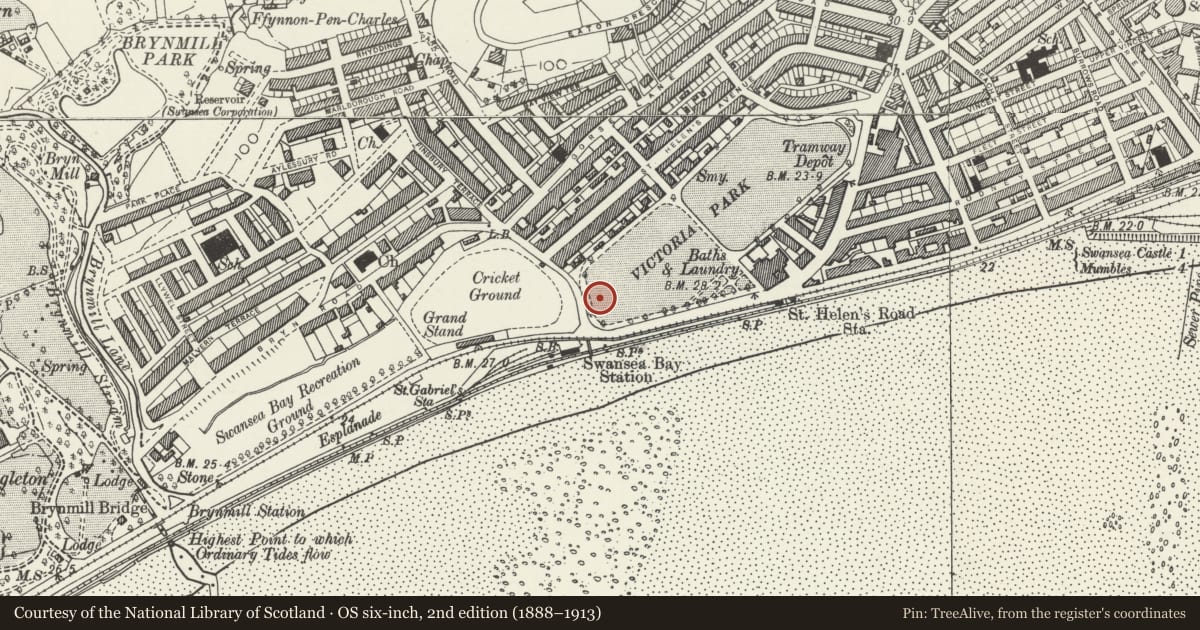 Ordnance Survey six-inch map, 2nd edition (1888–1913) covering the location of Patti Pavilion, Uplands, Swansea, with a pin at the register's coordinates