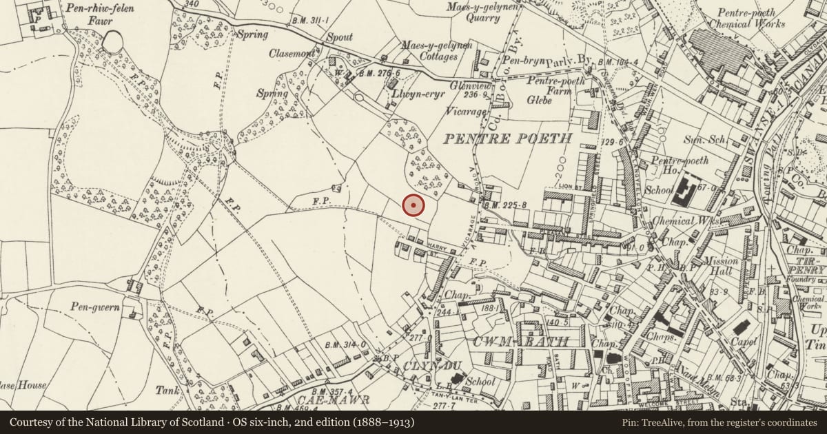 Ordnance Survey six-inch map, 2nd edition (1888–1913) covering the location of War Memorial in Morriston Park, Swansea, with a pin at the register's coordinates