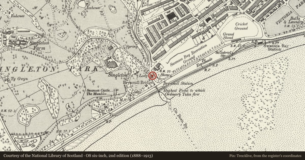 Ordnance Survey six-inch map, 2nd edition (1888–1913) covering the location of Brynmill Lodge at Singleton Park, Sketty, Swansea, with a pin at the register's coordinates