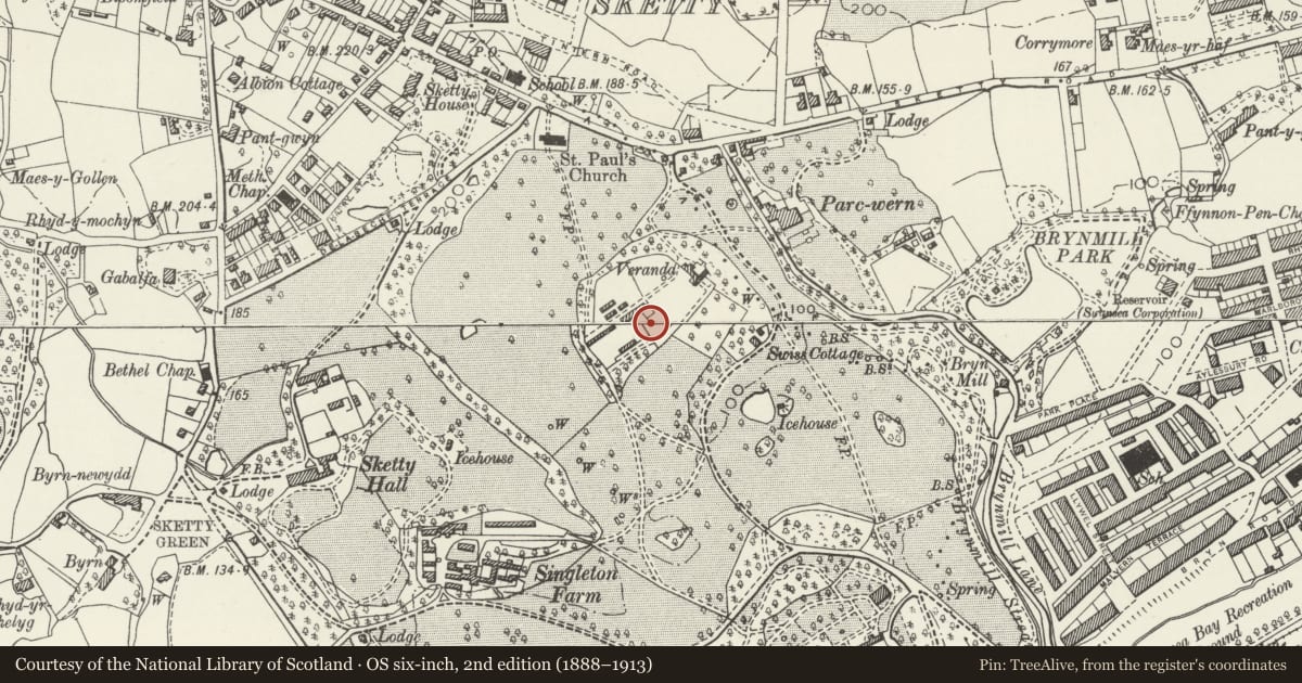 Ordnance Survey six-inch map, 2nd edition (1888–1913) covering the location of Fountain in Botanical Gardens, Singleton Park, Sketty, Swansea, with a pin at the register's coordinates