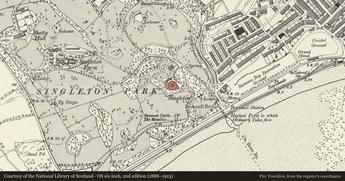 Ordnance Survey six-inch map, 2nd edition (1888–1913) covering the location of Singleton Abbey, Sketty, Swansea, with a pin at the register's coordinates