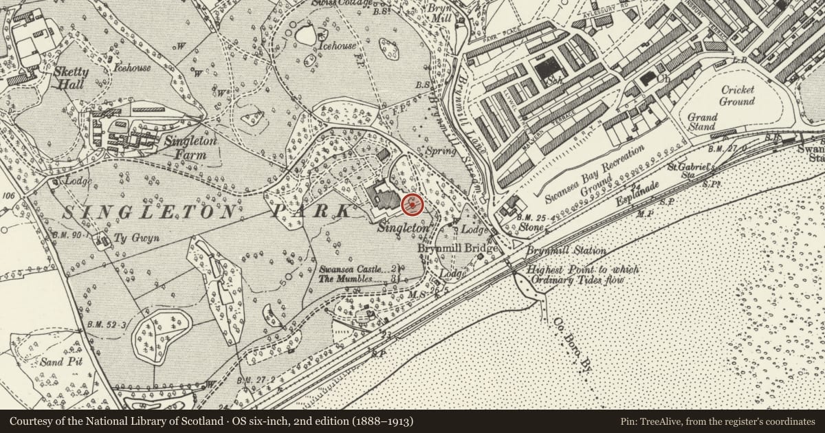 Ordnance Survey six-inch map, 2nd edition (1888–1913) covering the location of Forecourt Walls & AttachedTerrace Walls to E & S sides of Singleton Abbey, Sketty, Swansea, with a pin at the register's coordinates