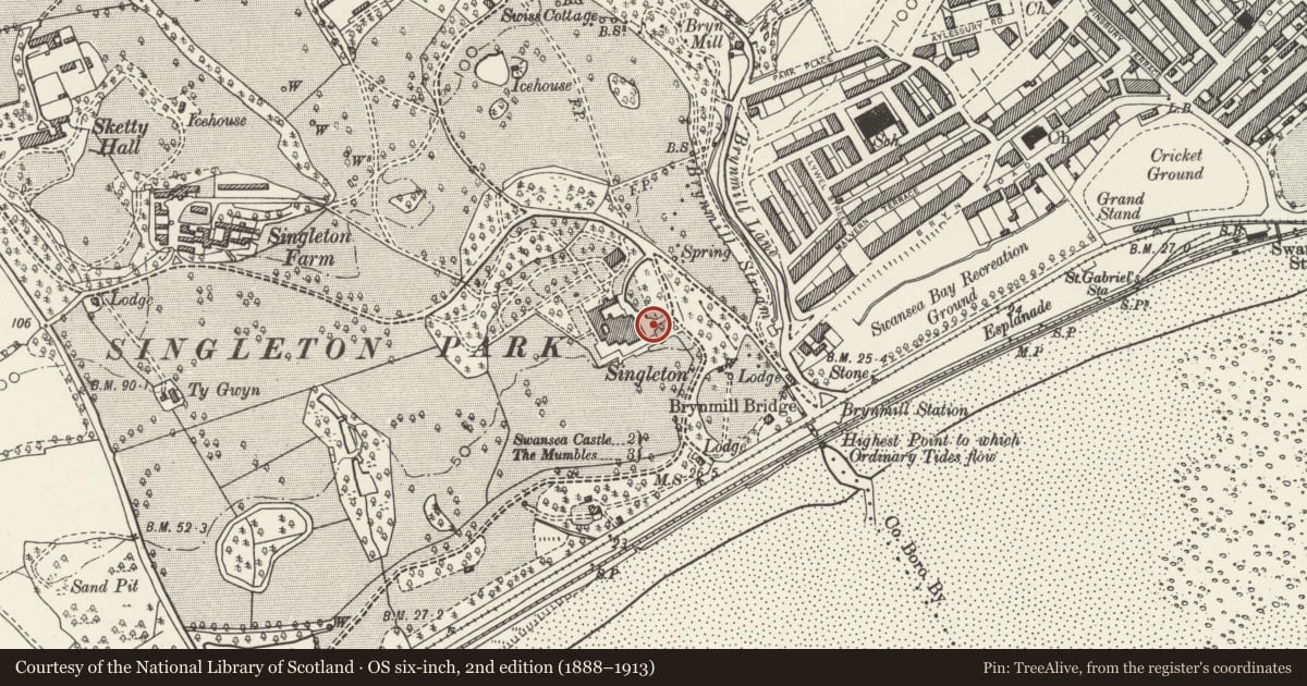 Ordnance Survey six-inch map, 2nd edition (1888–1913) covering the location of Lamp to Centre of Entrance Forecourt at Singleton Abbey, Sketty, Swansea, with a pin at the register's coordinates