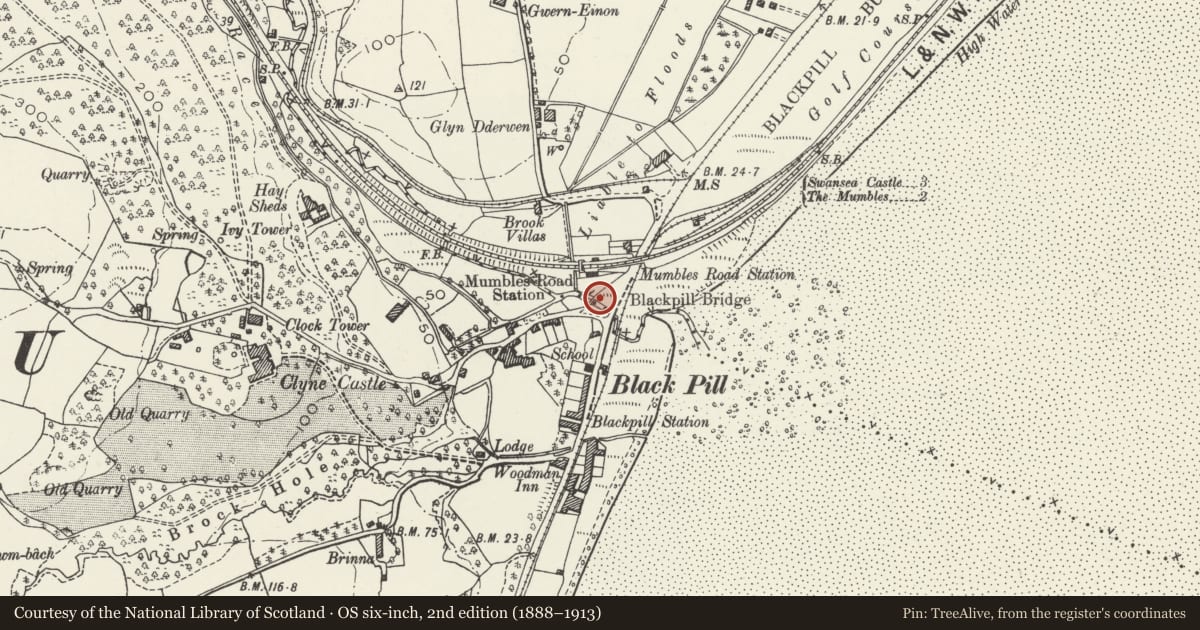 Ordnance Survey six-inch map, 2nd edition (1888–1913) covering the location of Bridge over River Clyne known as 'Roman Bridge' (partly in Mumbles community), Sketty, Swansea, with a pin at the register's coordinates