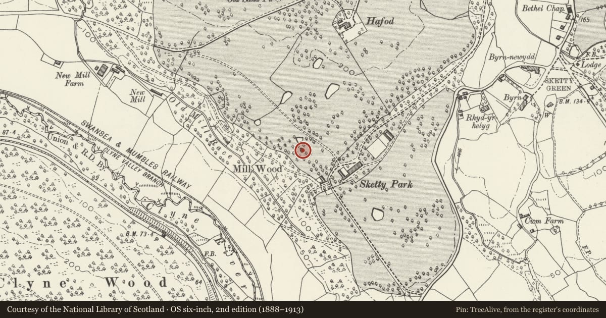 Ordnance Survey six-inch map, 2nd edition (1888–1913) covering the location of The Belvedere, Sketty, Swansea, with a pin at the register's coordinates