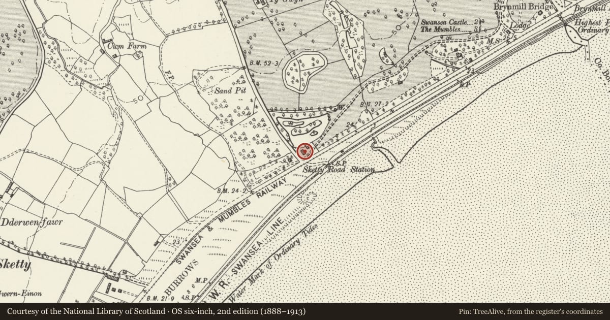 Ordnance Survey six-inch map, 2nd edition (1888–1913) covering the location of Boating Pool Lodge in Singleton Park, Sketty, Swansea, with a pin at the register's coordinates
