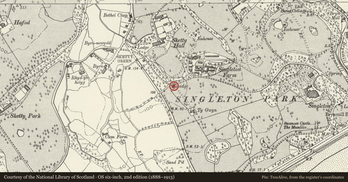 Ordnance Survey six-inch map, 2nd edition (1888–1913) covering the location of Lower Sketty Green Lodge in Singleton Park, Swansea, with a pin at the register's coordinates